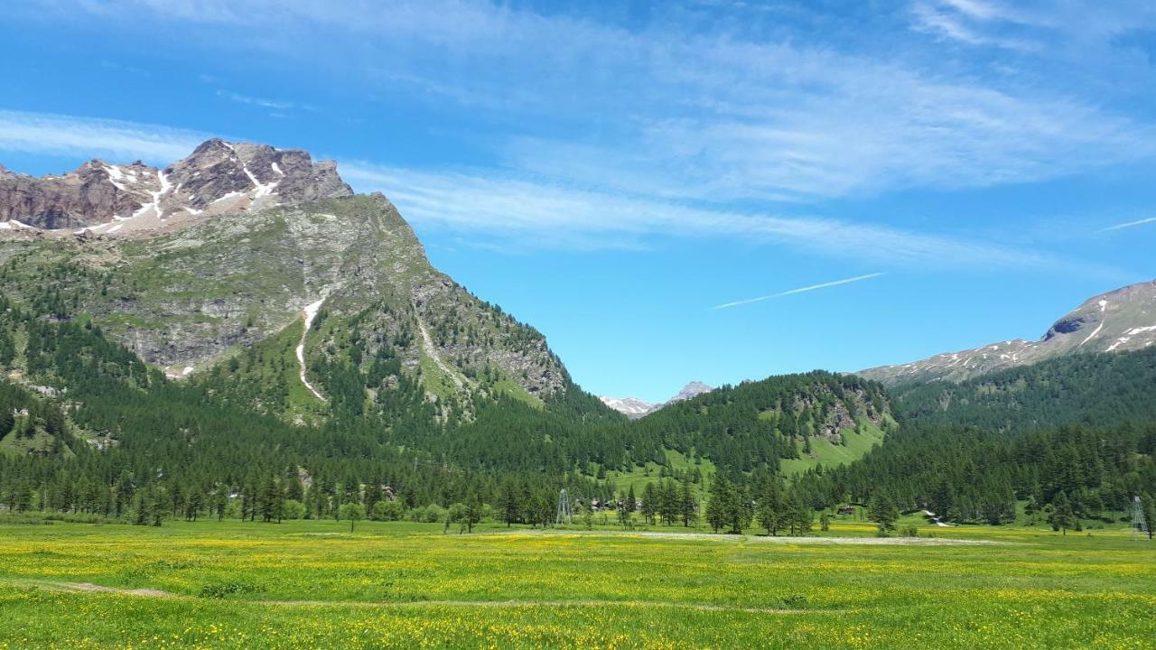La Piana Appartamenti Alpe Devero Εξωτερικό φωτογραφία